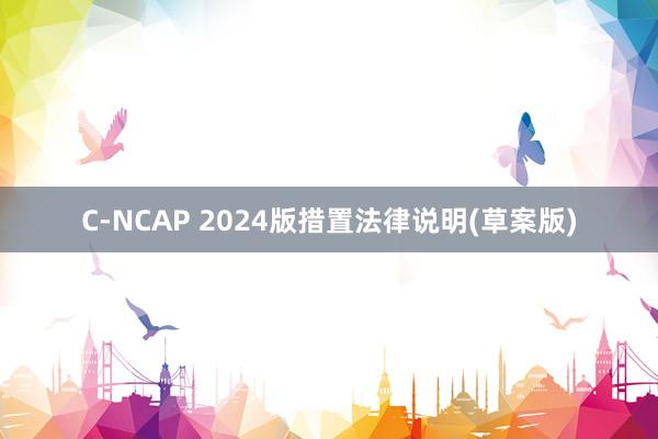 C-NCAP 2024版措置法律说明(草案版)